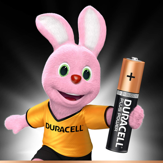 Duracell AAAA 2 Pack 1.5V Battery