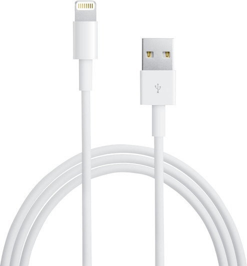 Apple USB A to Lightning 1 Meter Charging Cable