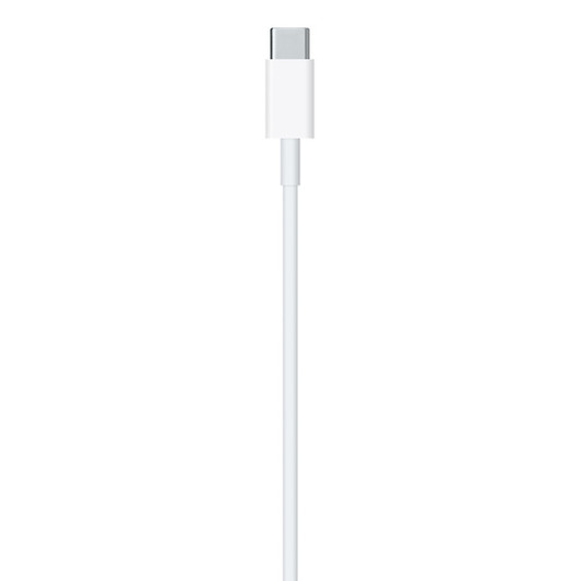 Apple USB C to Lightning 2 Meter Charging Cable