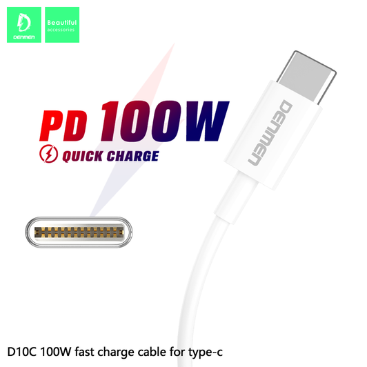 Denmen White Type C to Type C 100W Cable
