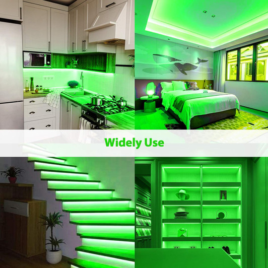 White green Neon Outdoor LED Strip light 5 Meters 12 volt