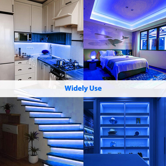 White blue Neon Outdoor LED Strip light 5 Meters 12 volt