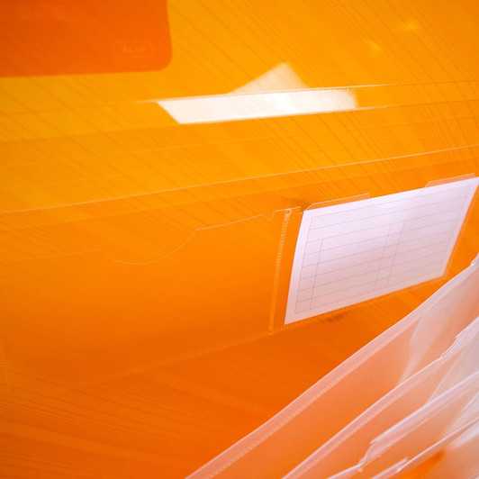 Bazic Translucent Letter Size 7 Pocket Expanding File Folder, Assorted Colors