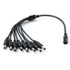 NA DC Cord 1 Female to 8 Male CCTV Pigtail Power Cable