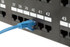 Intellinet 7ft Blue CAT6 Patch Cable