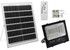 60W Solar Light with Separate Solar Panel