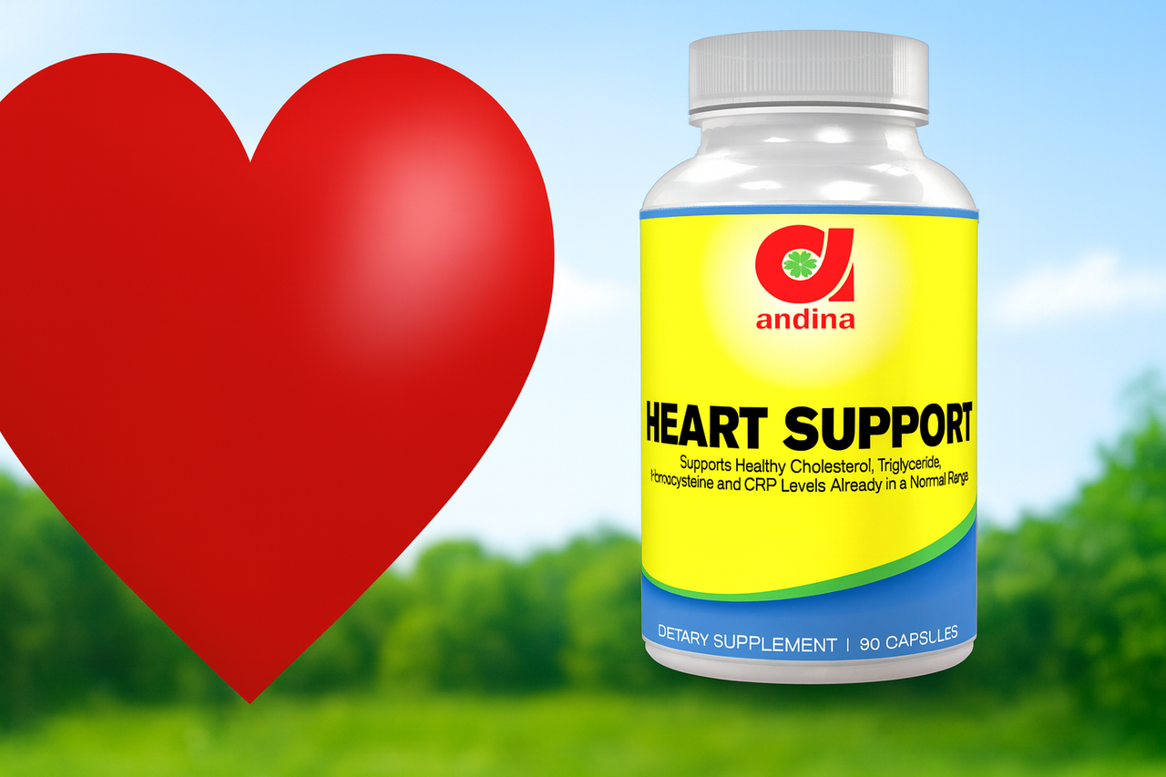 Heart & Cardiovascular