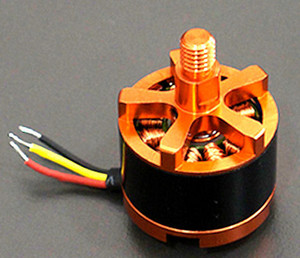 Wingsland WL-008CC MOTOR (COUNTER CLOCKWISE) (MINIVET) Wingsland WL-008CC MOTOR (COUNTER CLOCKWISE) (MINIVET)