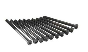 OS 79871555 Hex Head Screw 5x55mm (10), GT33