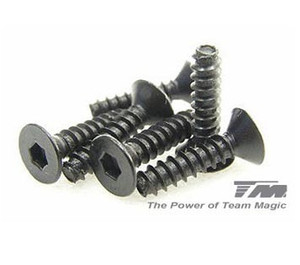 Team Magic 116312 Steel F.H. Self-Tapping Screw 3x12mm (6) Team Magic 116312 Steel F.H. Self-Tapping Screw 3x12mm (6)