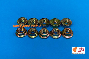 Family Land 6mm Flange Serrated Nut (10pcs) Family Land 6mm Flange Serrated Nut (10pcs)