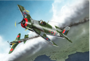 Hobby Boss 80360 British Fleet Air Arm Hellcat Mk.I Plastic Model Kit 1/48