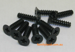 Acme 30798 Selftape Countersunk Screw 2.5x10mm(10)