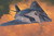 Hasegawa 00531 F-117A Nighthawk  1/72