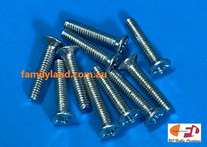 Family Land 2.5x12f  Metal Thread Countersunk Phillip Head (10pcs)