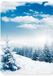 Custom Snow Theme Playing Cards - Free Setup