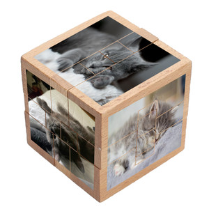 Custom Wood Puzzle Cube Custom Wood Puzzle Cube
