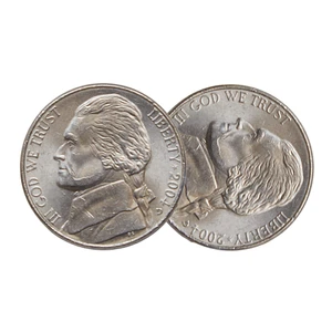 Trick Coin: Nickel 2 Heads