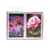 Piatnik Gift Set: In Bloom Poppy & Rose - 2 Deck Set