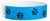 Blue Paw Print 3/4" Tyvek Wristband - 500 per Box