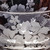 Hibiscus Oval Crystal Bowl - Detail