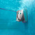 Dolphin Active 60 Robotic Automatic Pool Cleaner