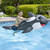 Poolmaster Jumbo Whale Rider