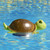 Poolmaster Turtle Chlorine Dispenser