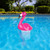 Poolmaster Flamingo Chlorine Dispenser