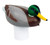 Poolmaster Clori-Duck Mallard Chlorine Dispenser