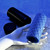Hide & Seek quilted stroker from SELOPA by Evolved Novelties