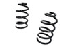 19 - 23 Chevy Silverado/GMC Sierra 2WD/4WD V8 Only 1" Front Drop Coils