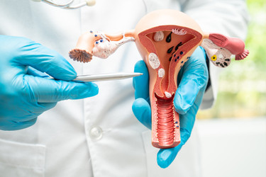 Cervical and Ovarian Cancer: Overview, Symptoms, Causes, And Treatment