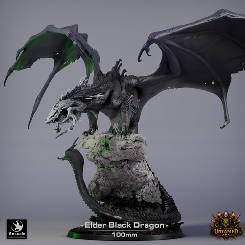 Black Dragon View 1