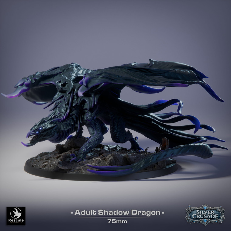 Main Shot of the Shadow Dragon
