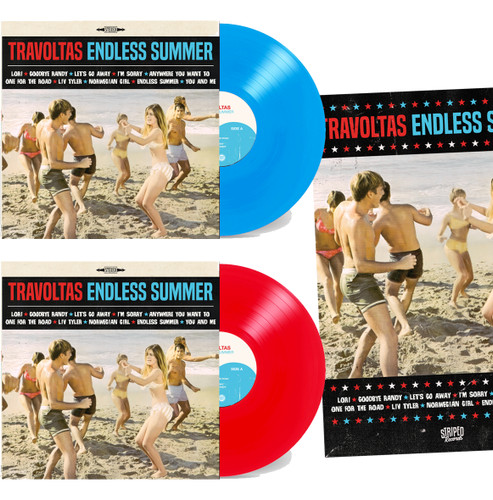 endless summer poster