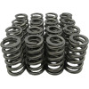 Powerstroke Products Heavy Duty Valve Spring & Retainer Kit 1994 to 2003 7.3L Powerstroke (PP-HDVS7.3)-Main View