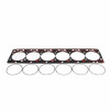  Industrial Injection Fire Ring Head Gasket Kit for 1998.5 to 2002 Dodge 5.9L Cummins (PDM-54174)