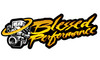 Blessed Performance Custom Tuning 2005-2010 FORD MUSTANG 4.0L/4.6L (BP0510_4.0/4.6) Main View