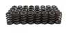 Powerstroke Products Heavy Duty Valve Springs 2011 to 2016 6.7L Powerstroke (PP-6.7S-VS)-Main View