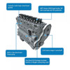 DFC Diesel 5.9 Cummins Engine Graph View