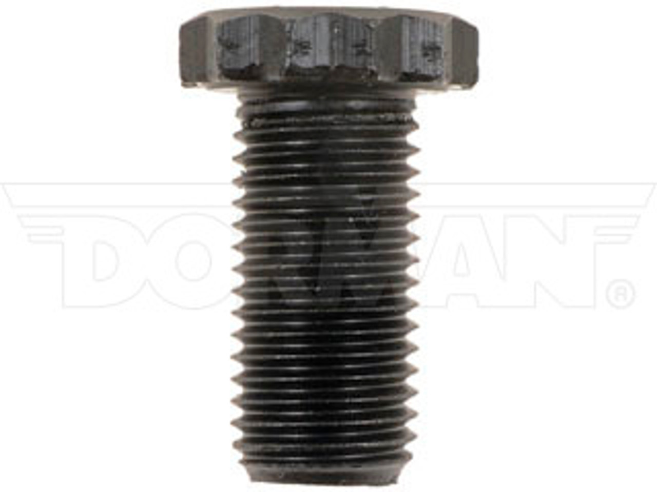 Dorman 7.3L Powerstroke Flywheel Bolt Kit