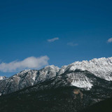 Arctic Leaf Test Product