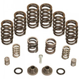 BD Power 4000 ROM Governor Spring Kit 1994 to 1998 5.9L 12V Cummins (BD1040185)-Main View
