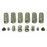 Pacbrake Valve & Governor Spring Kit (6 Springs) 1994 to 1998 5.9L Cummins (PBHP10246)-Main View