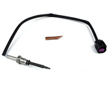 Main EGT Sensor View