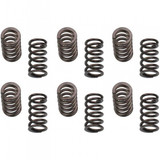 Industrial Injection 150LB Valve Springs 1989-1998 5.9L Cummins (II24G801)-Main View