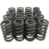 Powerstroke Products Heavy Duty Valve Spring & Retainer Kit 1994 to 2003 7.3L Powerstroke (PP-HDVS7.3)-Main View