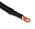 Main Cable View