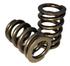 Hamilton Cams 110 Valve Spring set for 24V-Main View